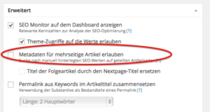 wpSEO Einstellung für individuelle meta title und meta description bei mehrseitigen Artikeln