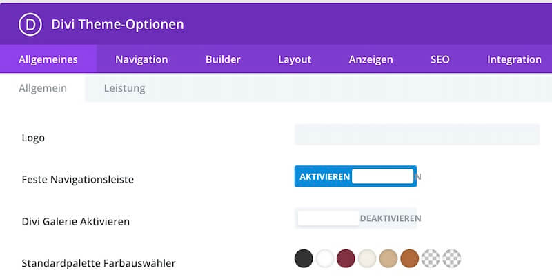 Ansicht der Einstellung in den Divi-Theme-Optionen. Der vierte Punkt zeigt die Divi Farbpalette