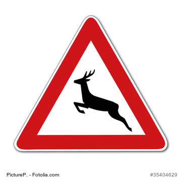 Müssen es immer die Platzhirsche sein?