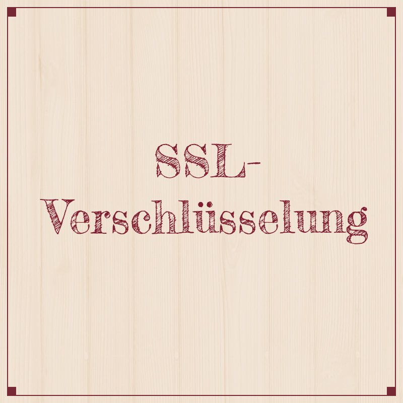 SSL-Verschlüsselung – Was Du dabei beachten solltest